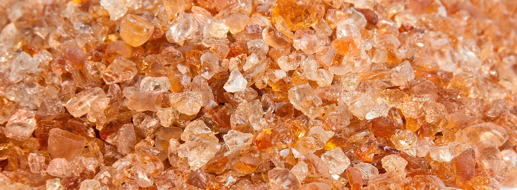 ACACIA SEYAL